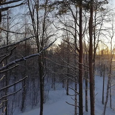 Niemelan Talo * Rovaniemi